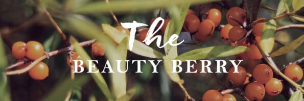 Havtorn - The Beauty Berry - Signaturingrediens i M Picaut Skincare.
