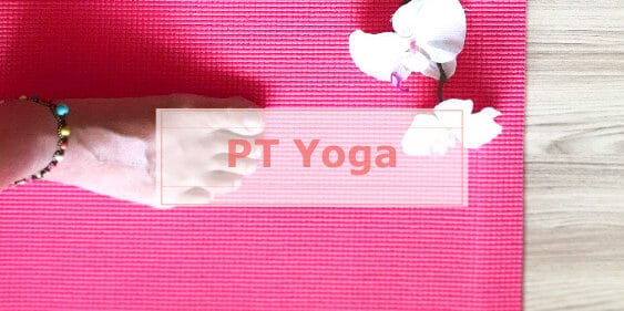 Länk till info om Hatha Yoga och PT Yoga för 1 till 2 personer som jag håller i min lilla Yoga PT studio på InCare. Även företagsyoga.