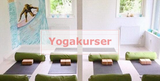 Länk till info om Hatha Yoga och yogakurser som jag håller löpande på vackra Leva Studio i Hästängsudd. Även PT Yoga och företagsyoga.